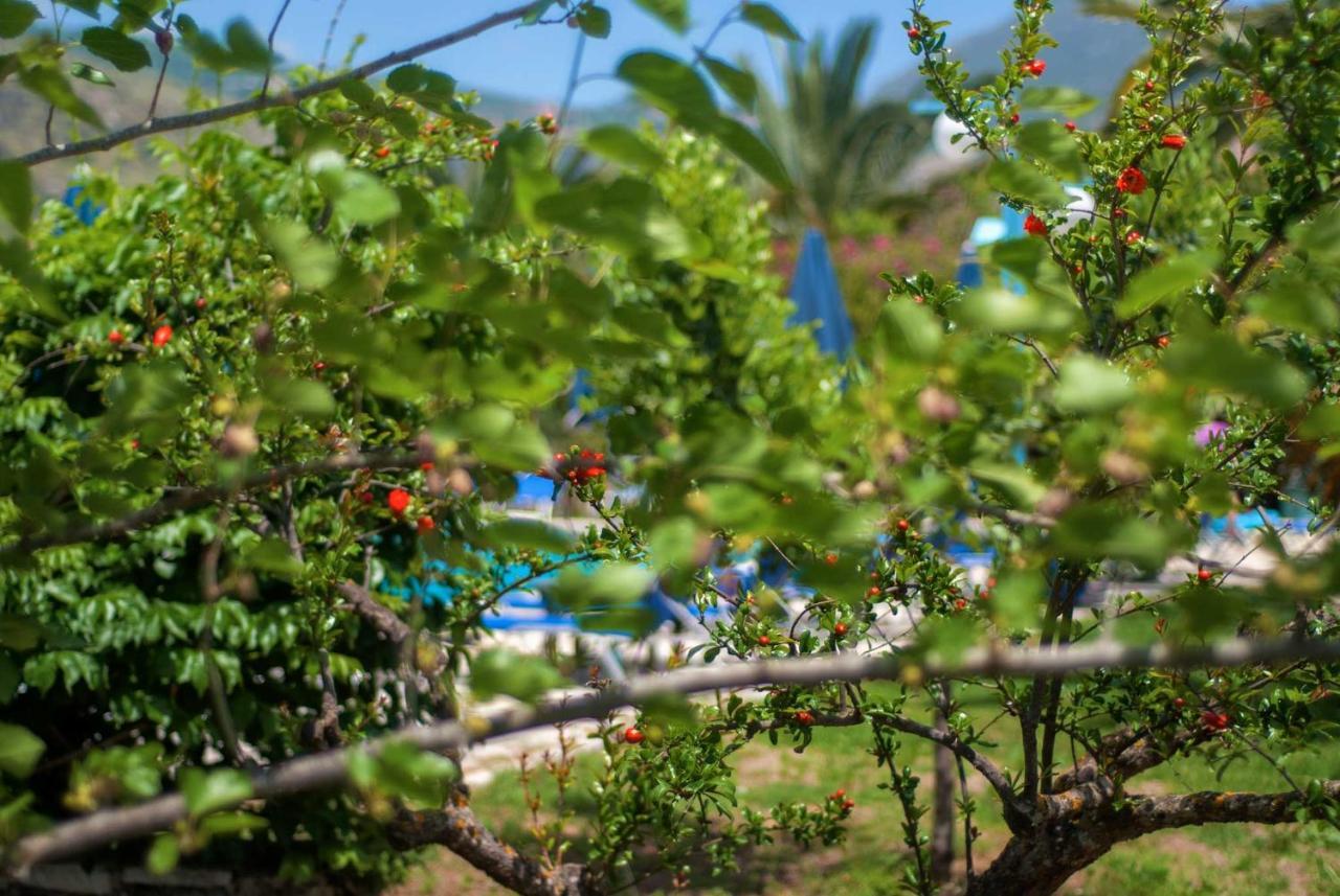 Efrosini Village Katelios Exterior foto